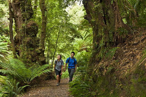 2-Day Great Ocean Road, Mornington Peninsula And Phillip Island Tour - New South Wales Tourism  5