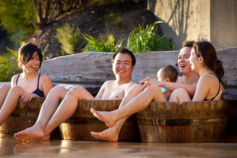 Mornington Peninsula Hot Springs Day Trip From Melbourne - New South Wales Tourism  1