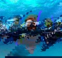 Great Barrier Reef Diving and Snorkeling Cruise from Cairns - New South Wales Tourism 