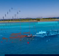 Ocean Free Green Island  Great Barrier Reef Snorkel Cruise Cairns 25 guests - New South Wales Tourism 