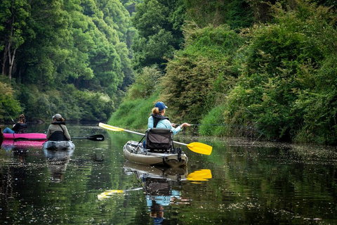 Byron Bay Rainforest Fishing - New South Wales Tourism  0