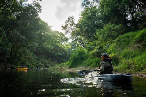 Byron Bay Rainforest Fishing - New South Wales Tourism  1