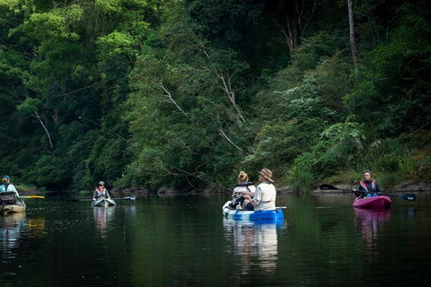 Byron Bay Rainforest Fishing - New South Wales Tourism  2