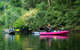 Byron Bay Rainforest Fishing - thumb 4
