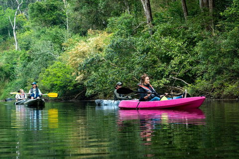 Byron Bay Rainforest Fishing - New South Wales Tourism  4