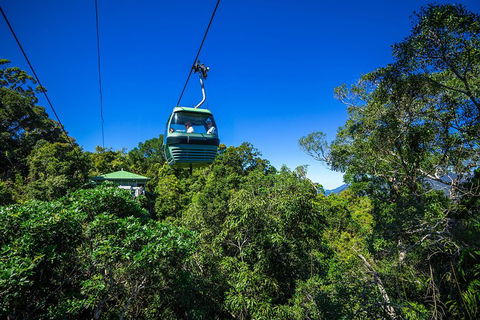 Classic Kuranda By Skyrail And Scenic Railway Including Rainforestation, Koala And Wildlife Park And Pamagirri Aboriginal Experi - New South Wales Tourism  0