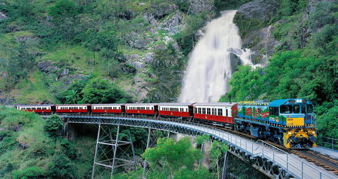 Classic Kuranda By Skyrail And Scenic Railway Including Rainforestation, Koala And Wildlife Park And Pamagirri Aboriginal Experi - New South Wales Tourism  1