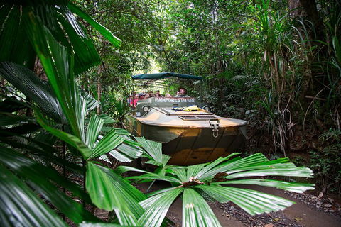 Classic Kuranda By Skyrail And Scenic Railway Including Rainforestation, Koala And Wildlife Park And Pamagirri Aboriginal Experi - New South Wales Tourism  4