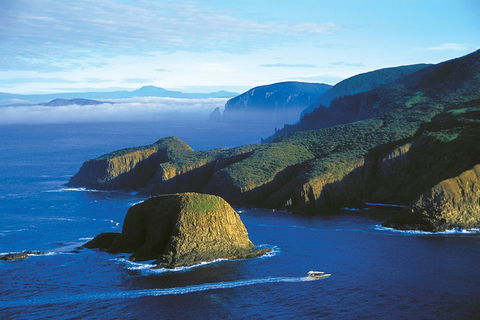 3-Hour Bruny Island Cruise From Adventure Bay, Bruny Island - New South Wales Tourism  1