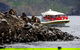 3-Hour Bruny Island Cruise From Adventure Bay, Bruny Island - thumb 4