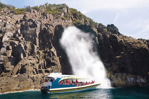 3-Hour Bruny Island Cruise From Adventure Bay, Bruny Island - New South Wales Tourism  5
