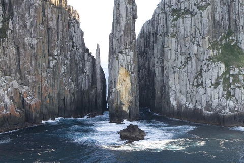Tasman Island Cruises And Port Arthur Historic Site Day Tour From Hobart - New South Wales Tourism  2