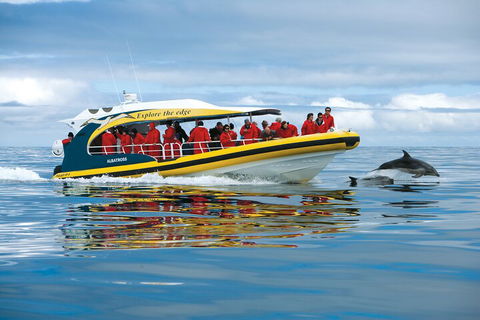 Tasman Island Cruises And Port Arthur Historic Site Day Tour From Hobart - New South Wales Tourism  3