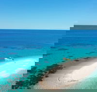 Ocean Safari Great Barrier Reef Experience in Cape Tribulation - New South Wales Tourism 