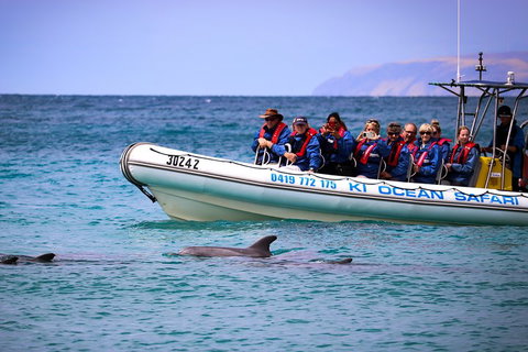Kangaroo Island 75-Minute Ocean Safari - New South Wales Tourism  4