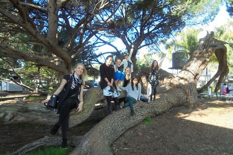 1/2 Day Swan Valley Wine Cheese & Chocolate Tour Inc Afternoon Cruise To Perth - New South Wales Tourism  0