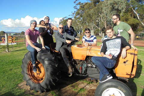1/2 Day Swan Valley Wine Cheese & Chocolate Tour Inc Afternoon Cruise To Perth - New South Wales Tourism  1