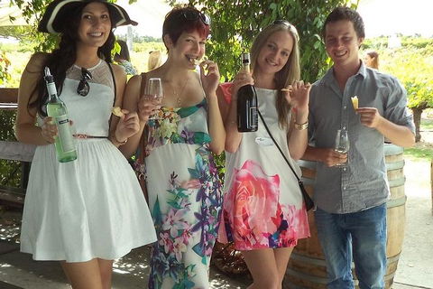 1/2 Day Swan Valley Wine Cheese & Chocolate Tour Inc Afternoon Cruise To Perth - New South Wales Tourism  4