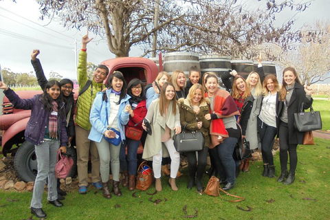 1/2 Day Swan Valley Wine Cheese & Chocolate Tour Inc Afternoon Cruise To Perth - New South Wales Tourism  5