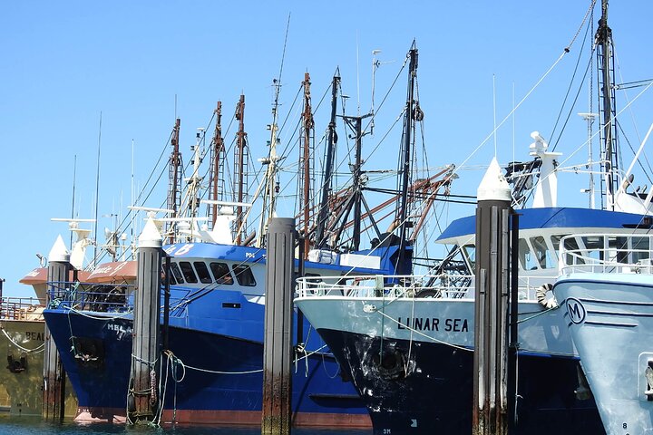 Port Lincoln SA New South Wales Tourism 