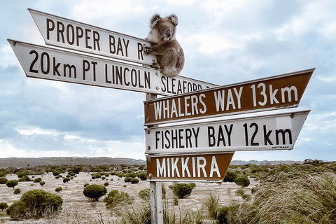One Day Port Lincoln Tour - Tasting Eyre - New South Wales Tourism  2