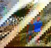 Rottnest Island Full-Day Trip With Guided Island Tour From Perth - New South Wales Tourism 