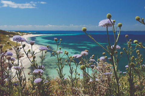 Rottnest Island Full-Day Trip With Guided Island Tour From Perth - New South Wales Tourism  2