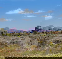 Overnight Uluru Ayers Rock Small-Group Camping Tour - New South Wales Tourism 
