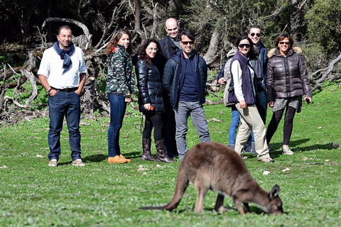 2-Day Kangaroo Island 4WD Small-Group Tour From Adelaide - New South Wales Tourism  1