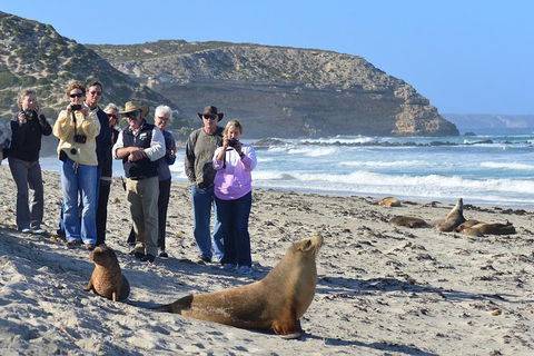 2-Day Kangaroo Island 4WD Small-Group Tour From Adelaide - New South Wales Tourism  3