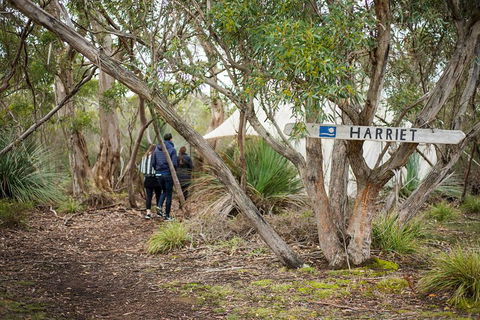 2-Day Kangaroo Island 4WD Small-Group Tour From Adelaide - New South Wales Tourism  5