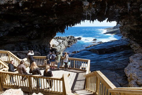 Full Day Flinders Chase Tour From Kangaroo Island - New South Wales Tourism  1