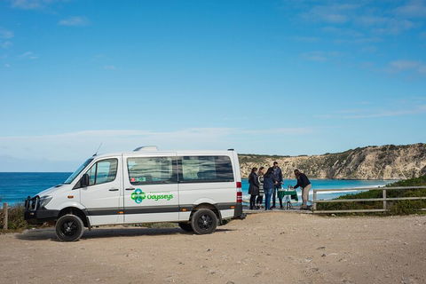 Full Day Flinders Chase Tour From Kangaroo Island - New South Wales Tourism  3