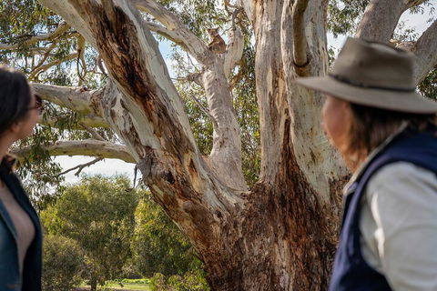 Full Day Flinders Chase Tour From Kangaroo Island - New South Wales Tourism  5