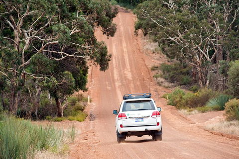 Small-Group Kangaroo Island 4WD Tour From Adelaide - New South Wales Tourism  3