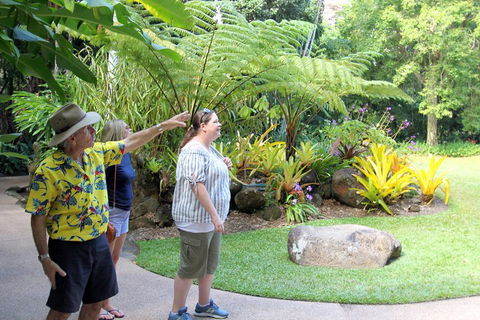 Cairns Shore Excursion: Cairns City Sights & Surrounds Tour - New South Wales Tourism  4