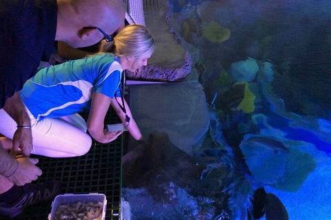 Cairns Aquarium Marine Life Encounter Ticket With 2-Course Lunch - New South Wales Tourism  2