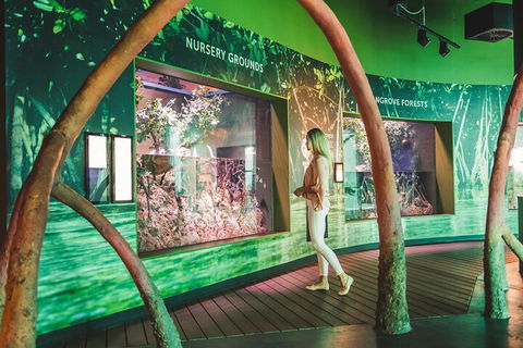 Cairns Aquarium Marine Life Encounter Ticket With 2-Course Lunch - New South Wales Tourism  3