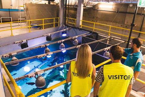 Cairns Aquarium Marine Life Encounter Ticket With 2-Course Lunch - New South Wales Tourism  5