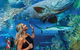 Cairns Aquarium Family Ticket - thumb 3