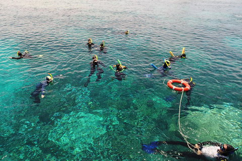 Seastar Luxury Outer Great Barrier Reef Island And Reef Tour From Cairns - New South Wales Tourism  2