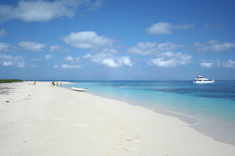 Seastar Luxury Outer Great Barrier Reef Island And Reef Tour From Cairns - New South Wales Tourism  3
