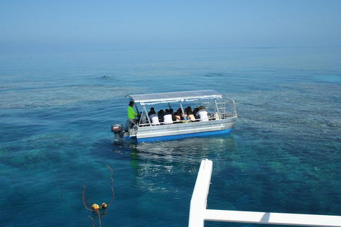 Seastar Luxury Outer Great Barrier Reef Island And Reef Tour From Cairns - New South Wales Tourism  5