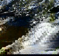 Cradle Mountain Day Tour from Launceston Including Lunch - New South Wales Tourism 