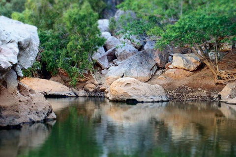 Windjana Gorge And Tunnel Creek 4WD Tour From Broome - New South Wales Tourism  5