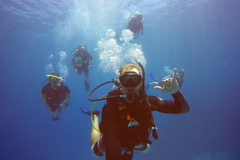 12-Day Great Barrier Reef Marine Conservation Program From Cairns - New South Wales Tourism  0