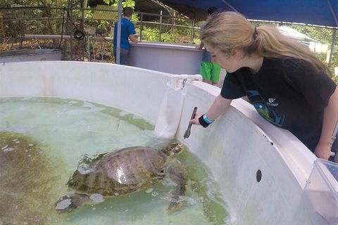12-Day Great Barrier Reef Marine Conservation Program From Cairns - New South Wales Tourism  4
