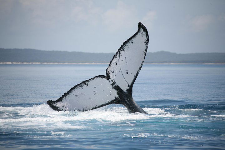 Urraween QLD New South Wales Tourism 