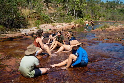 Litchfield National Park Waterfalls And Wildlife Tour From Darwin - New South Wales Tourism  1