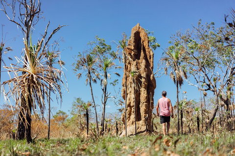 Litchfield National Park Waterfalls And Wildlife Tour From Darwin - New South Wales Tourism  4